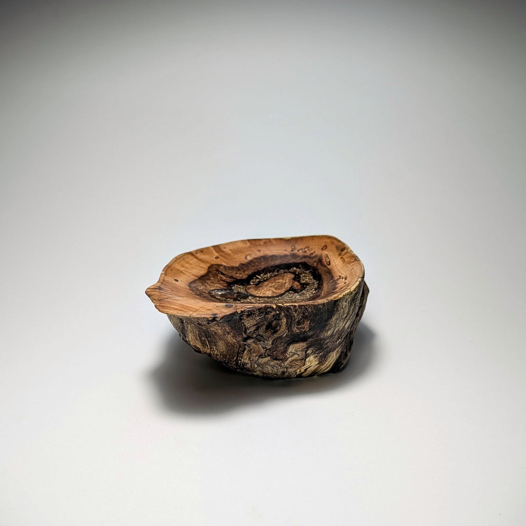 A small rustic wooden bowl or dish made from a natural wood slice with visible grain and bark, photographed on a clean light gray to white studio background.